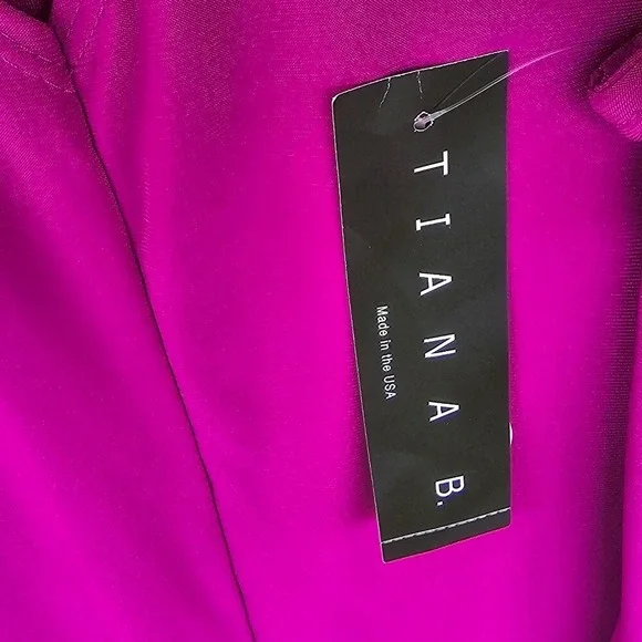 TIANA B Women Sleeveless Keyhole‎ Neck Violet Red Mini A-line Dress Size 12P NWT - Picture 4 of 7
